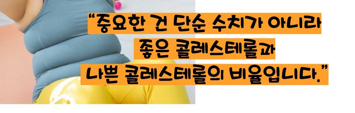 총 콜레스테롤 이란