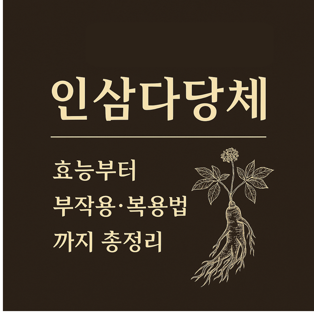 💡 인삼다당체란? 효능부터 가격·복용법·부작용까지 총정리
