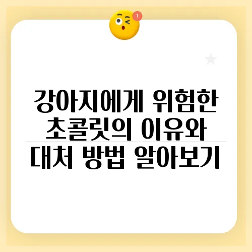 강아지에게 위험한 초콜릿의 이유와 대처 방법 알아보기