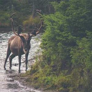 온누리상품권-신청