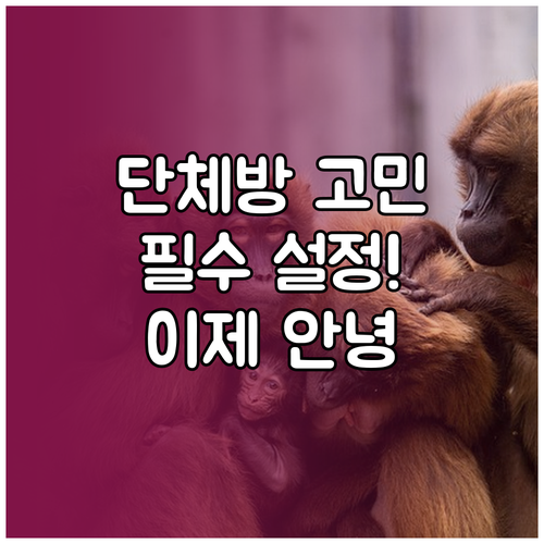 카톡 단체방 초대 문제, 설정부터 상..