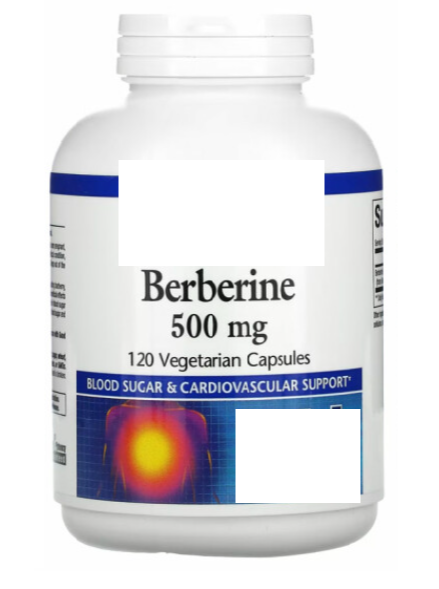 암-예방-영양제-3가지