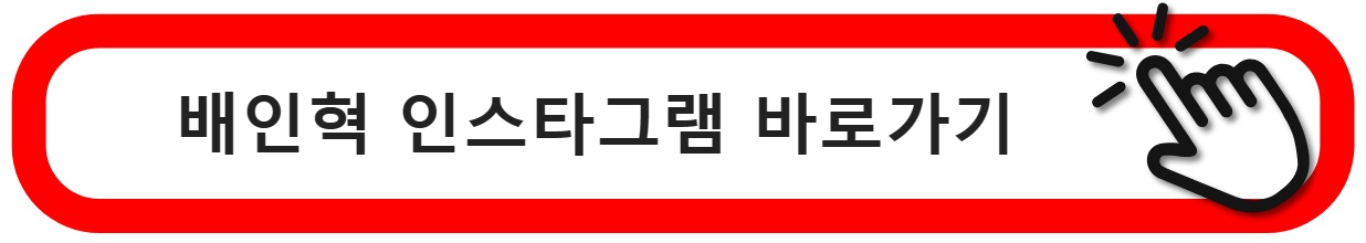 배인혁인스타그램