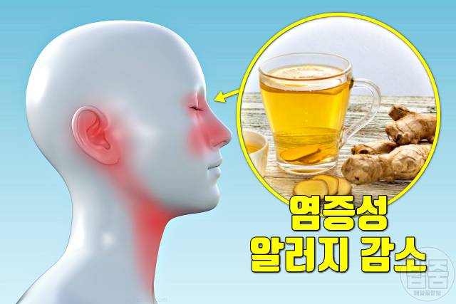 알러지에 좋은 음식 생강차 알러지에 좋은 차