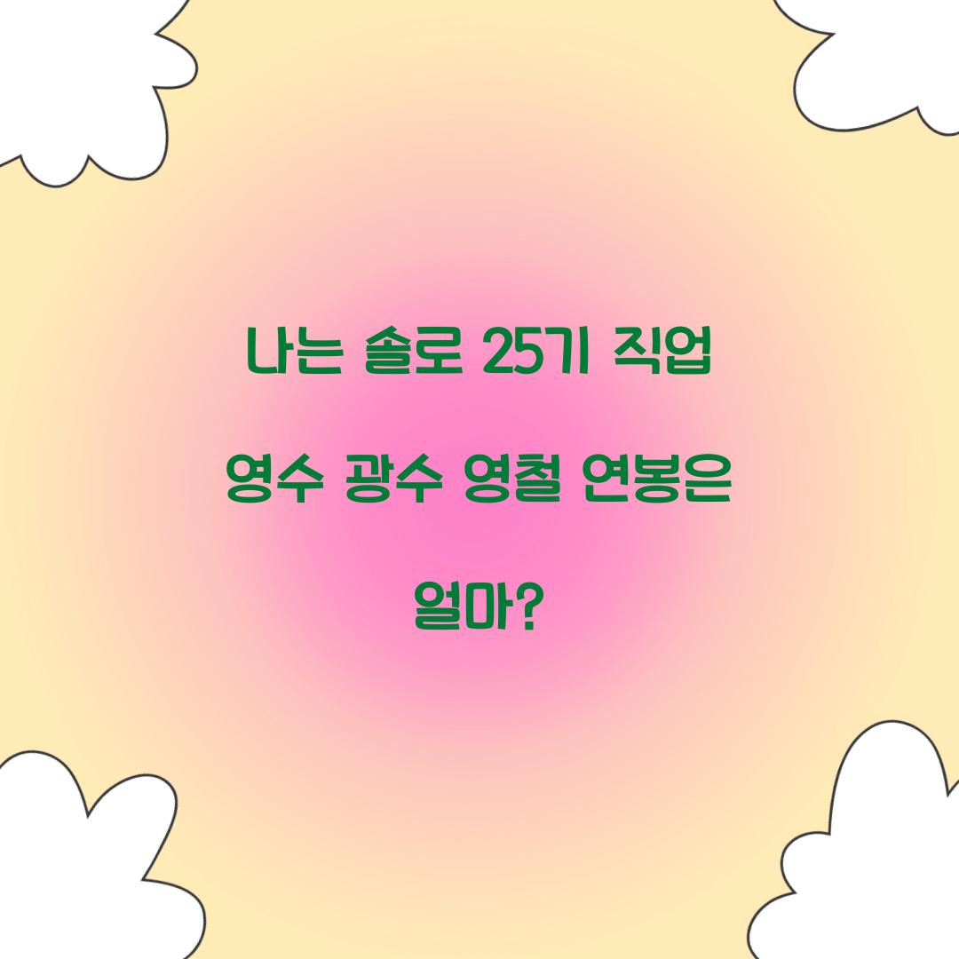 나는 솔로 25기 직업