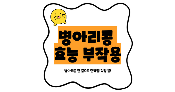 병아리콩 효능 부작용