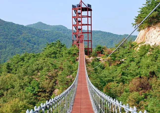충북 보은 삼년산성, 우당고택, 말티재 전망대, 솔향공원 스카이바이크, 대추 전국 택배 주문 가볼만한 곳 추천