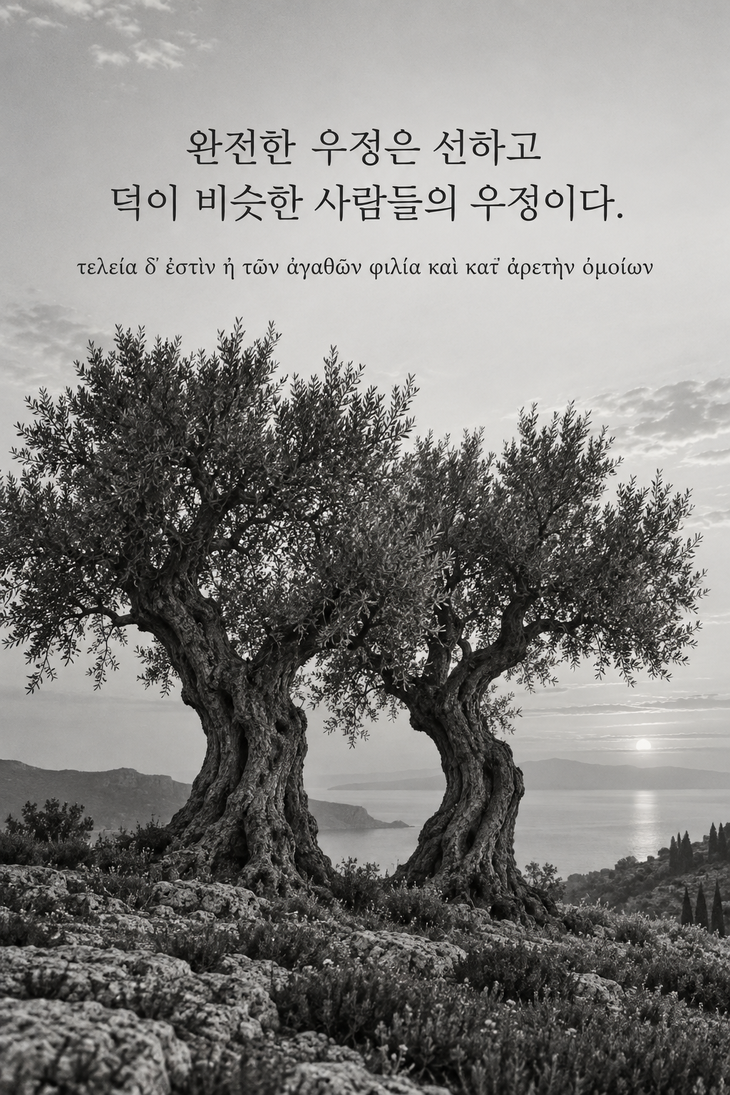 아리스토텔레스 명언 26 — 완전한 우정은 선하고 덕이 비슷한 사람들의 우정이다. — 흑백사진
