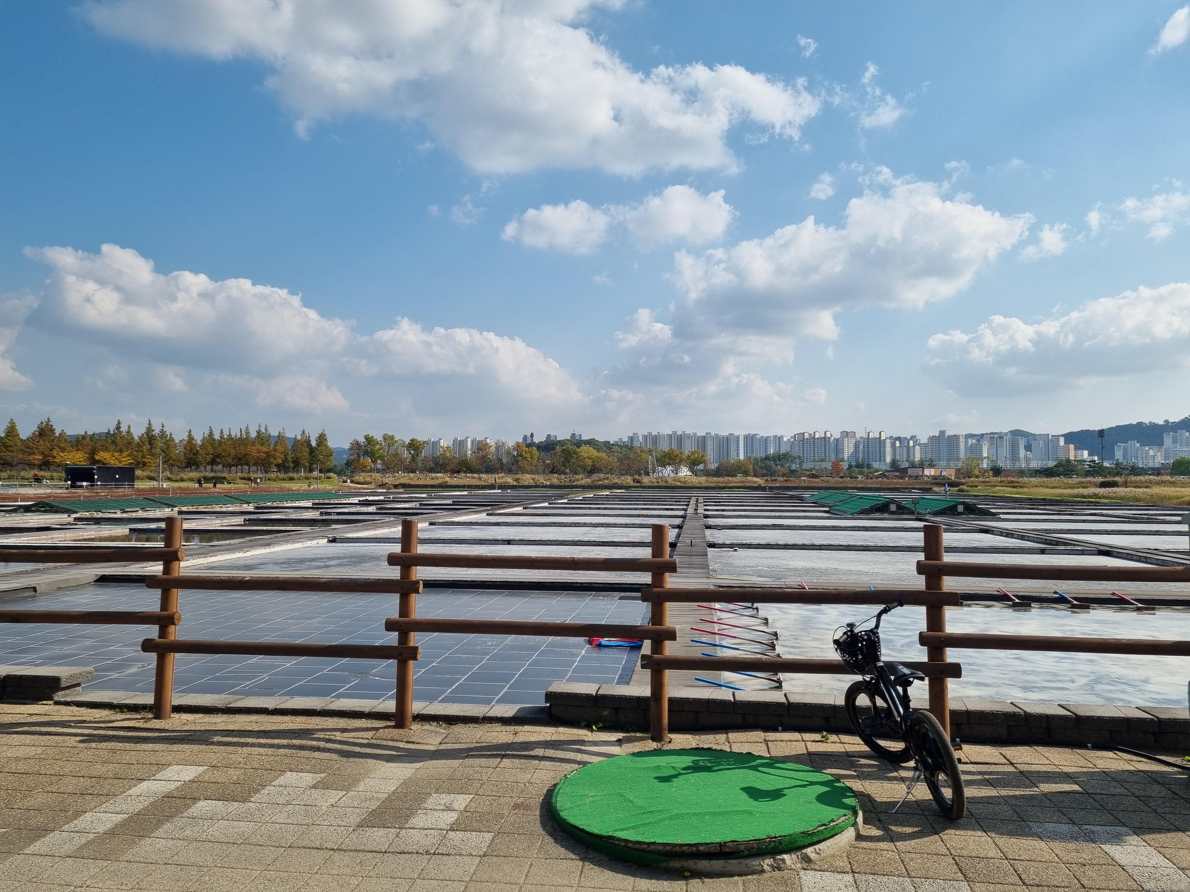 시흥 갯골생태공원 가을 나들이 후기-2