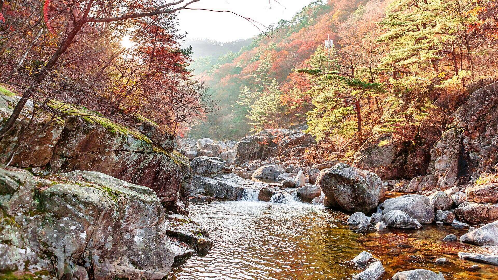 강원도 가을 단풍 여행 가이드 : 2025 강릉 소금강 단풍 절정 시기 & 추천 코스