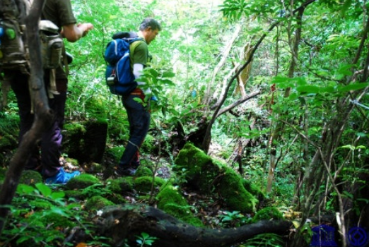 거문오름무료개방