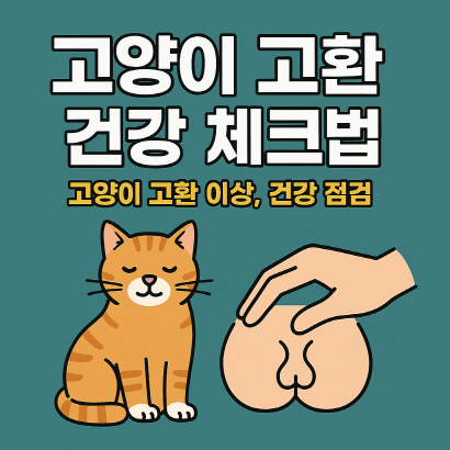 고양이 고환 건강 체크법 : 잠복고환부터 종양까지 이상 신호 총정리
