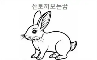 산토끼보는꿈