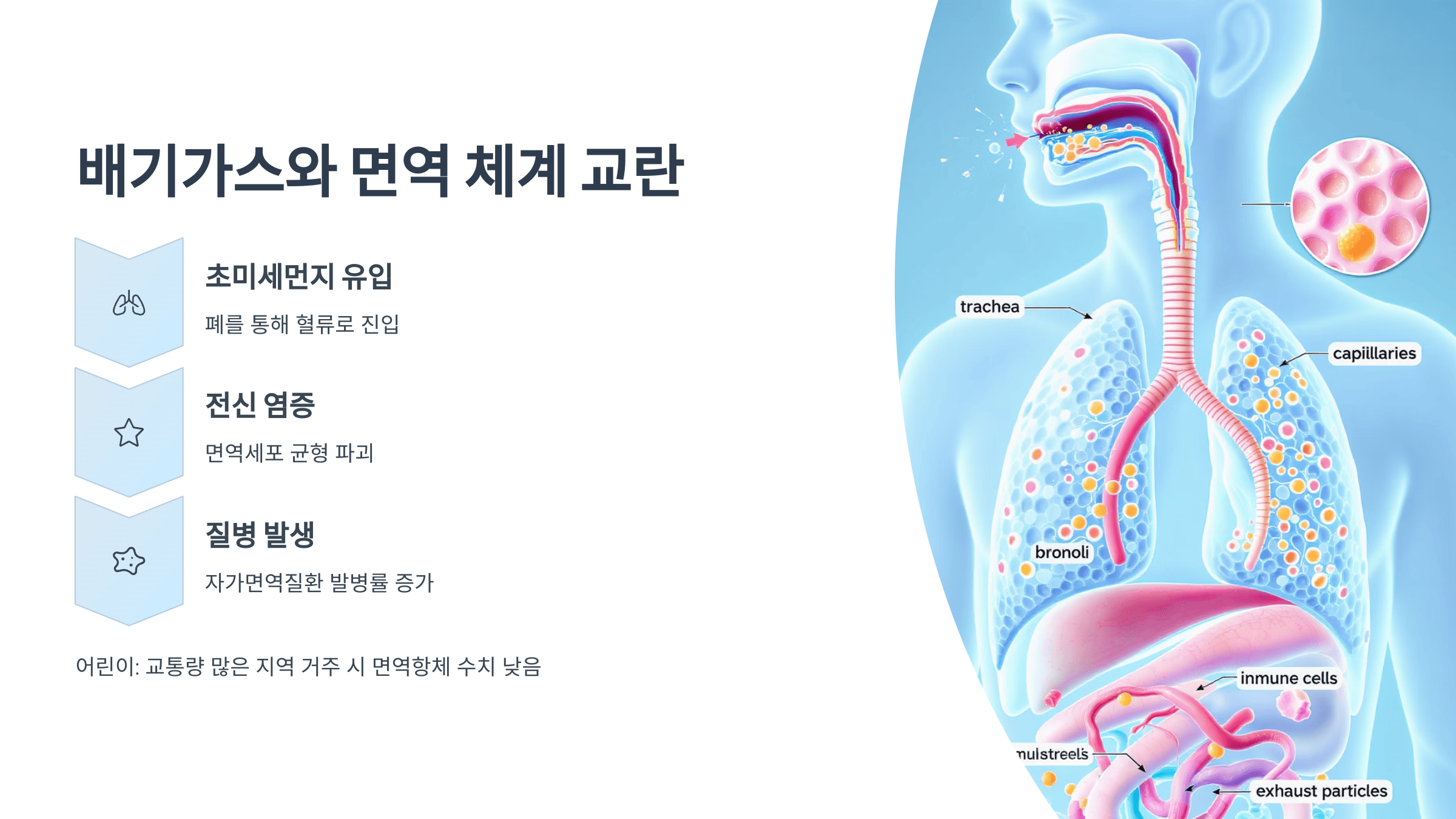자동차-배기가스와-면역-체계-교란