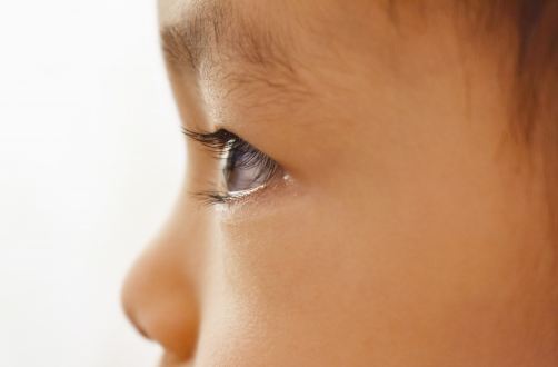 안구 안에 염증