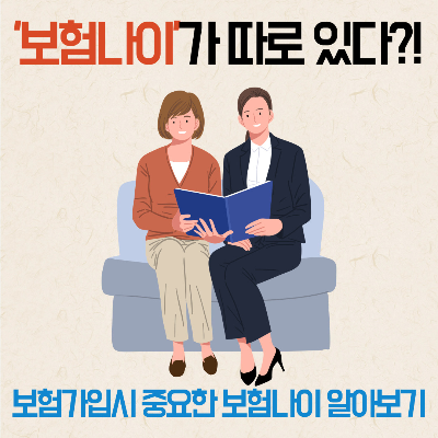 보험나이