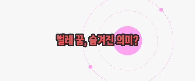 벌레 꿈해몽 한 번 정리해볼까요