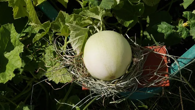 역류성 식도염 치료제