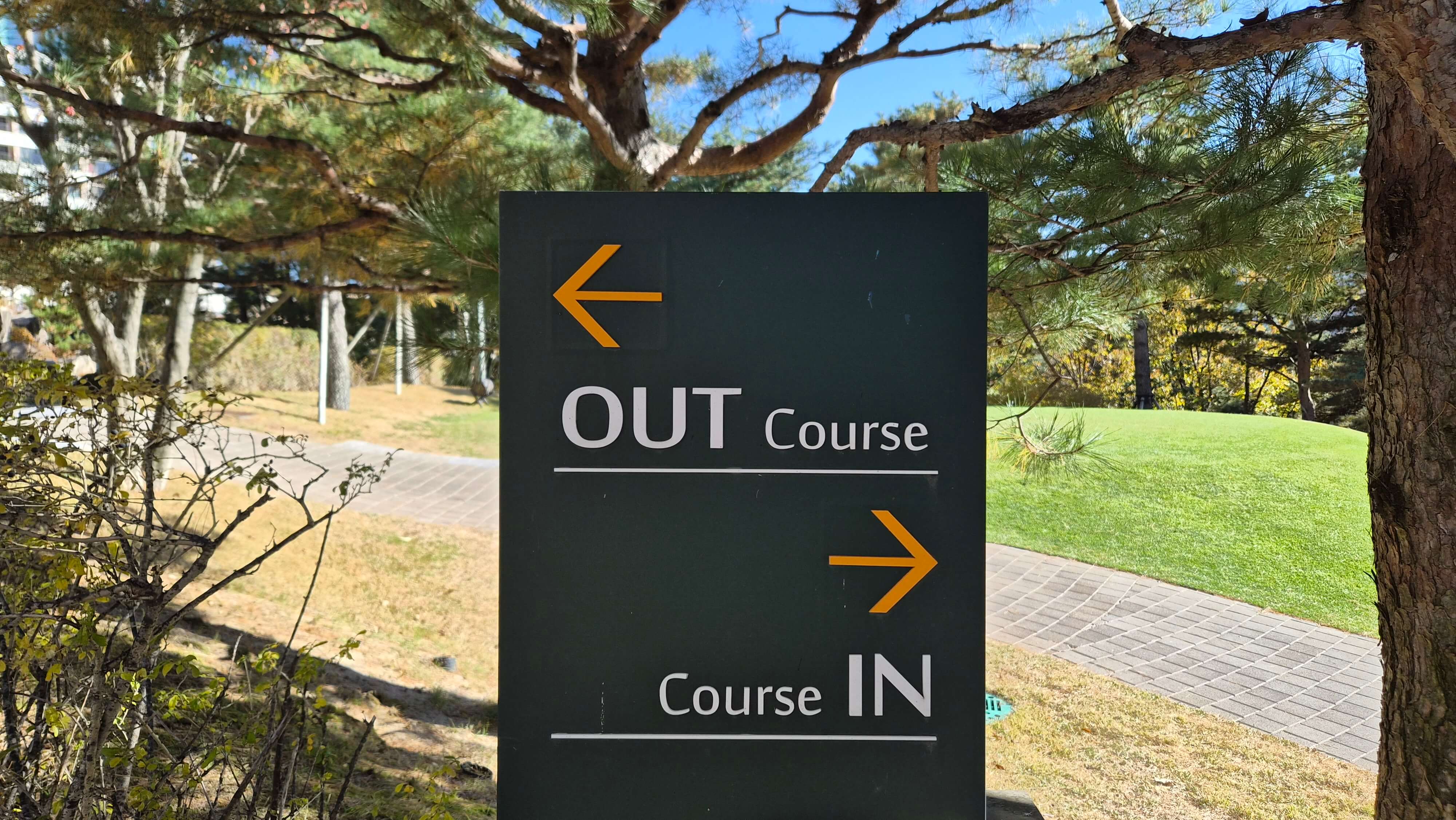 골프장 경험담 소노펠리체cc델피노 설악산 울산바위와 탁 뜨인 동해 바다 소나무가 멋진곳