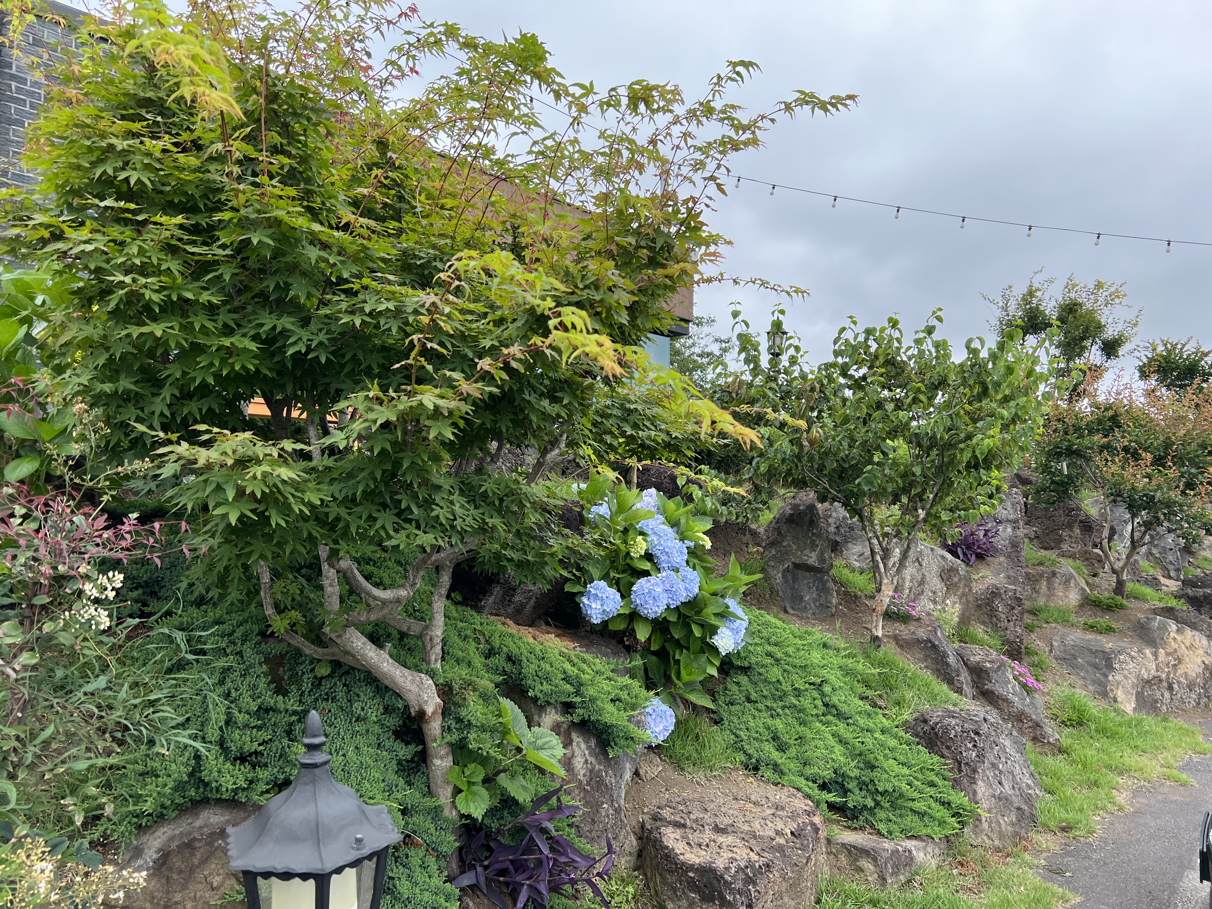 성산-맛집-옛날옛적
