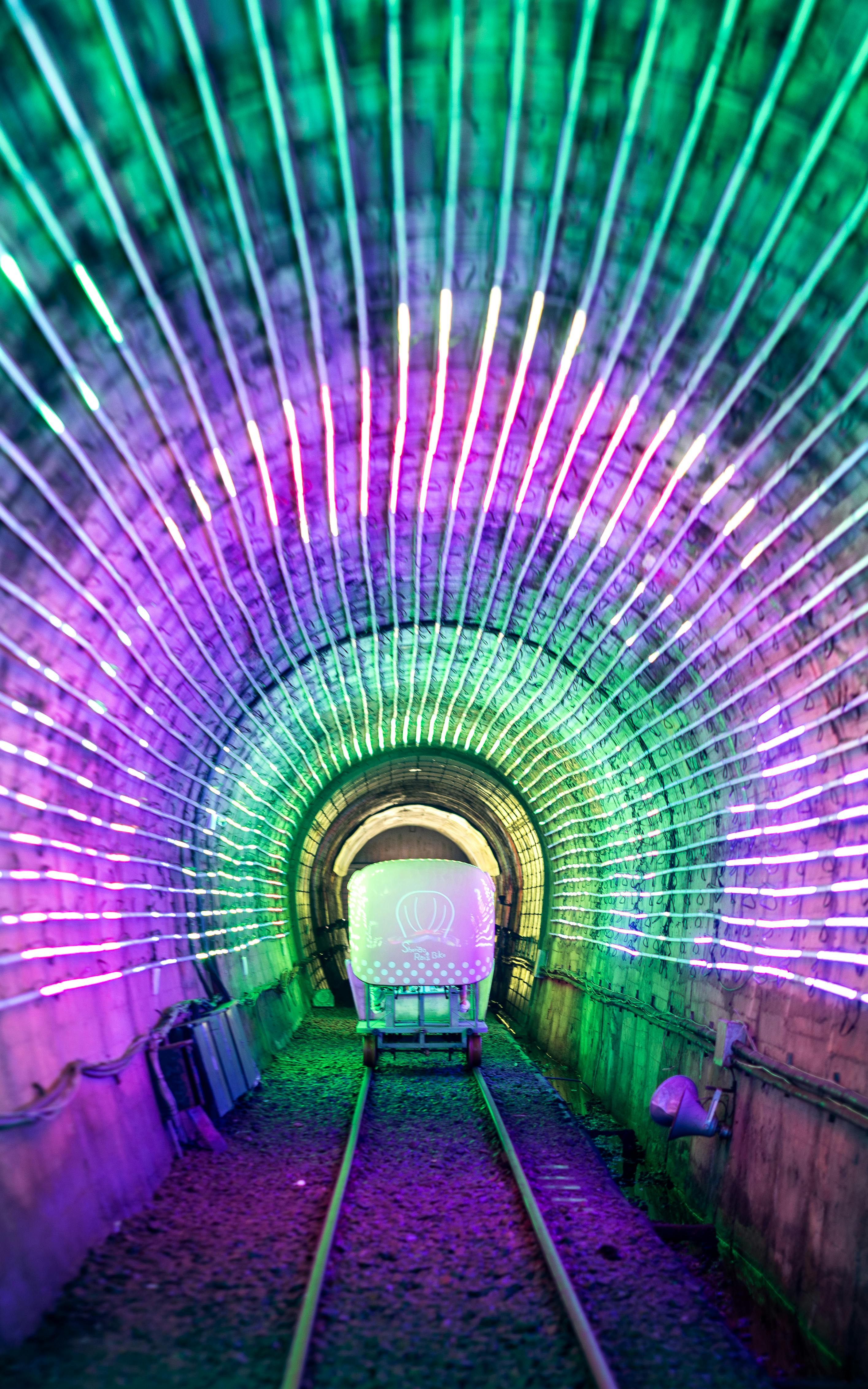 레일바이크 사진