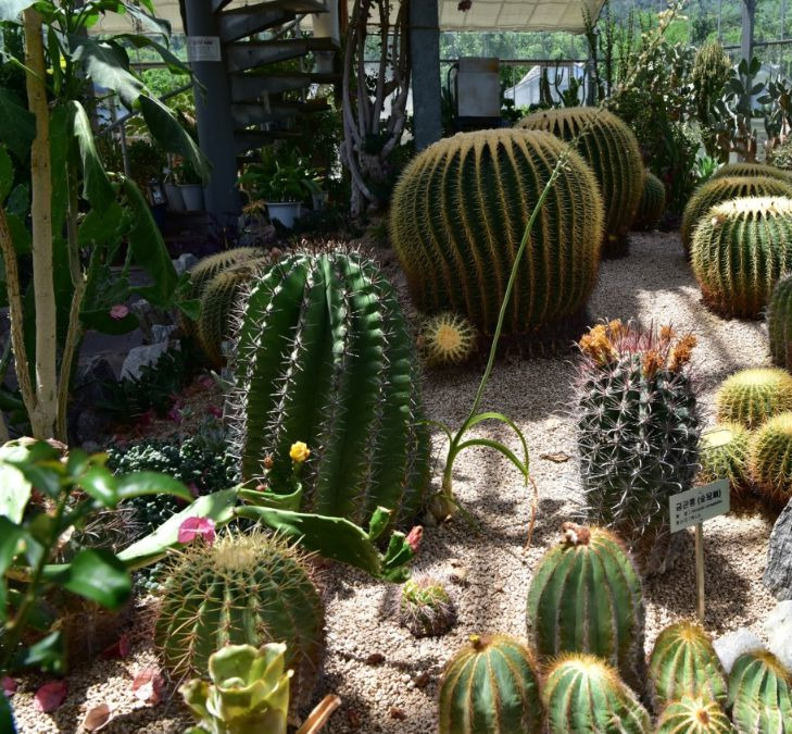 대구 여름휴가지 추천