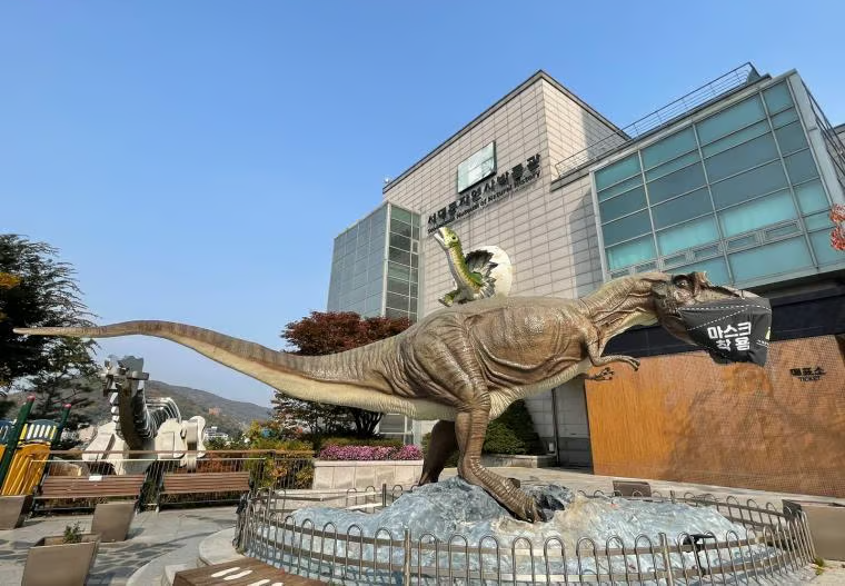 서대문자연사박물관 완벽 가이드: 2026년 예약부터 주차까지 실전 관람 후기