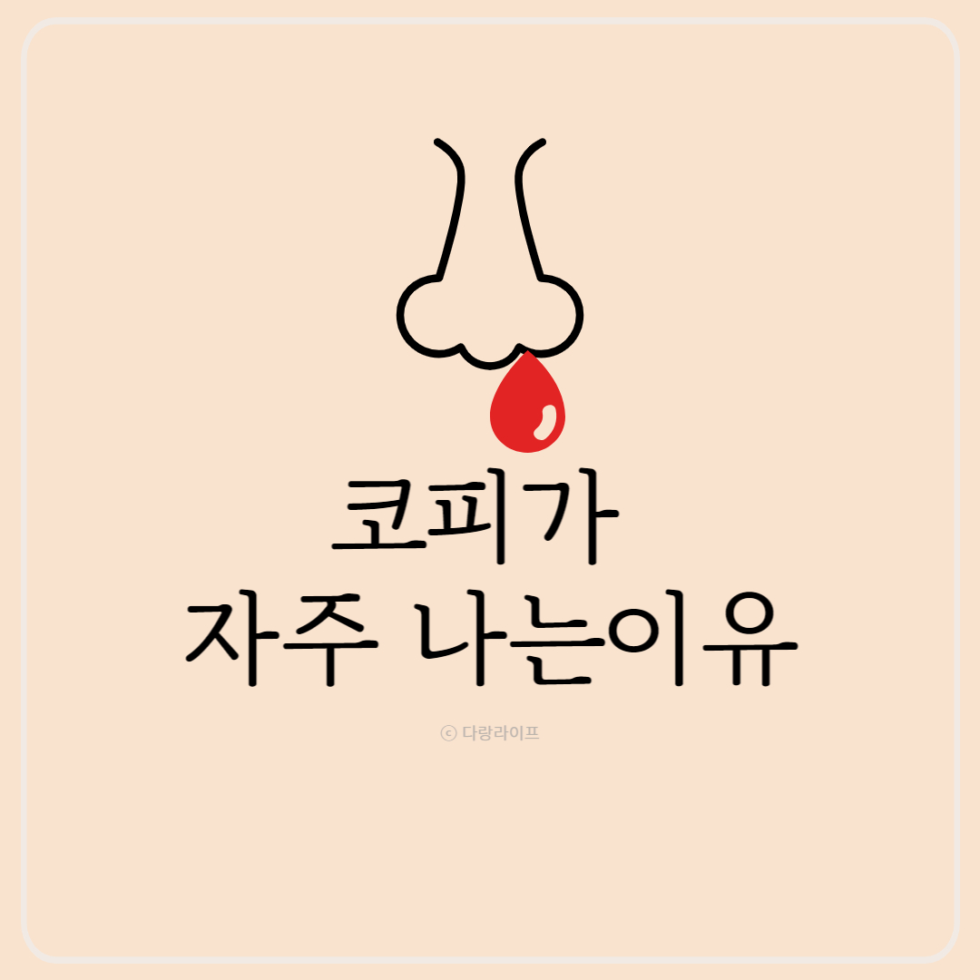 코피가 자주나는이유 코피나는이유