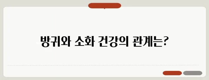 방귀를 자주 뀌는 이유와 소화 건강 관리법