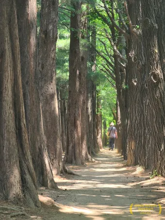 서울 둘레길 지도 3시간 미만 초급자 추천 코스 맛집 주차 총정리 1탄_24
