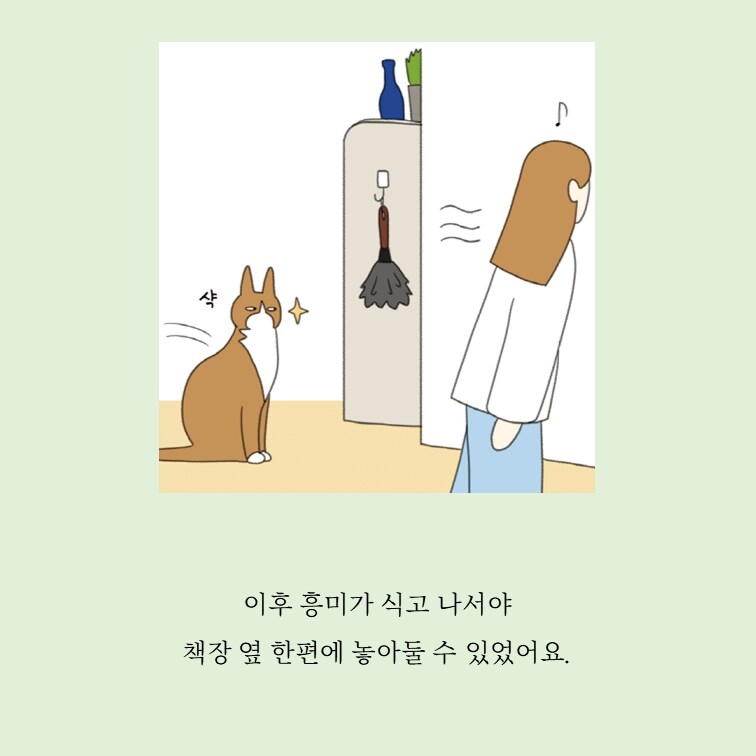 홍조 민정원 1인1묘살림일지