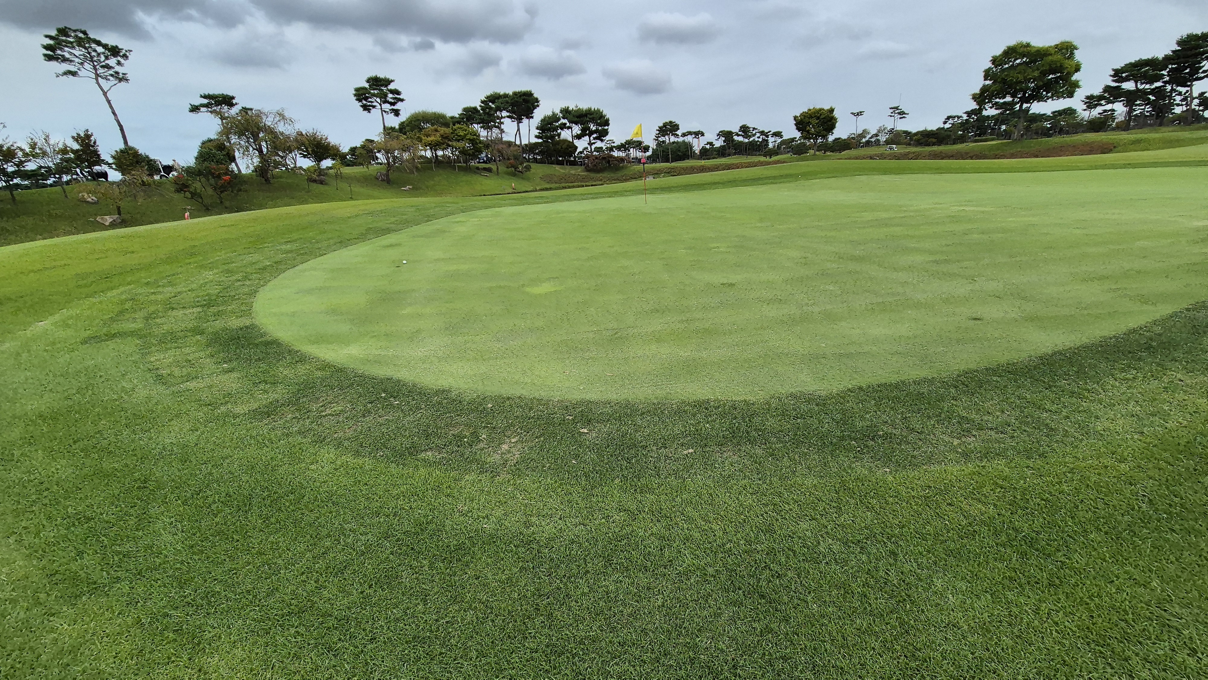 파인스톤cc 그린 관리 상태