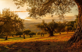 화담숲 예약 방법 모노레일 입장료