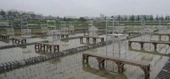 농사 물 관리 비가림 설치 배수로 정비 가뭄 대비 빗물 저장_4