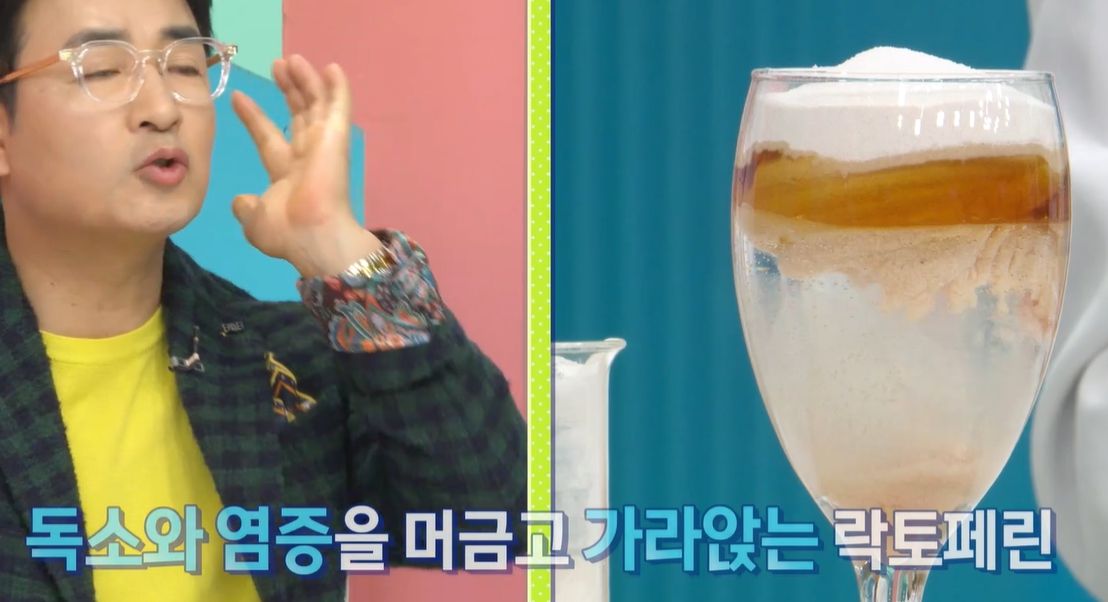 락토페린 효능