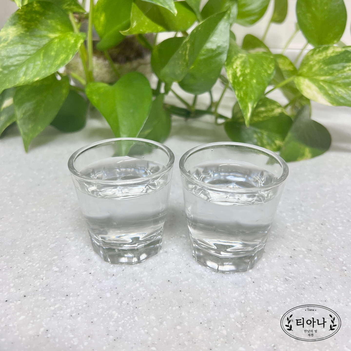 다이어트 중에 술 마셔도 될까요? 마실 때 안주는?