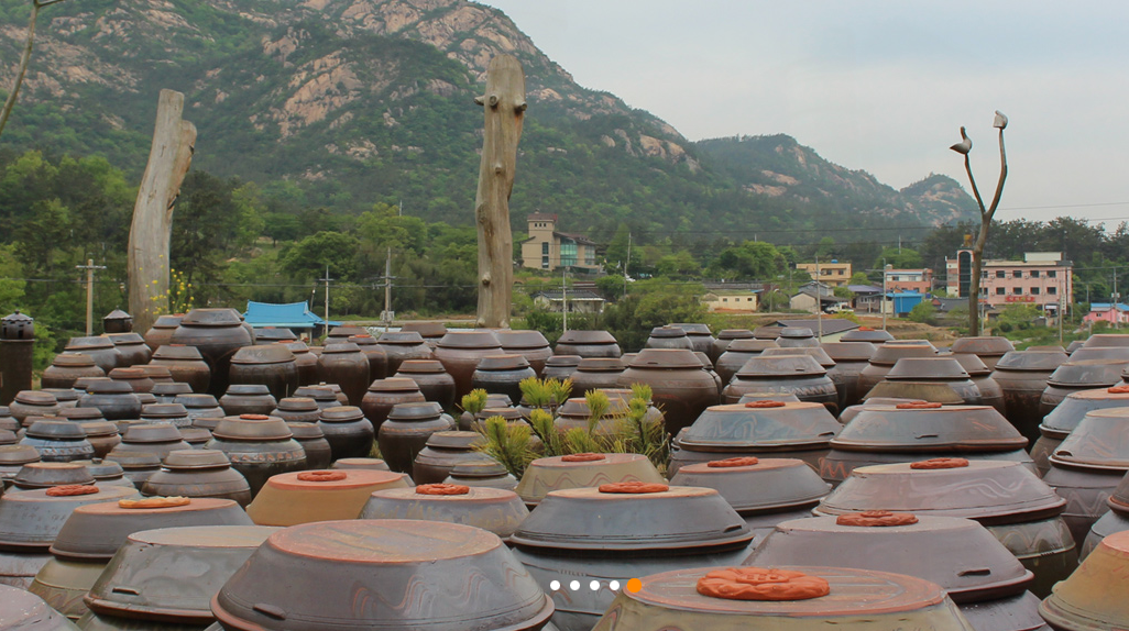 김명성 발효연구소 정보