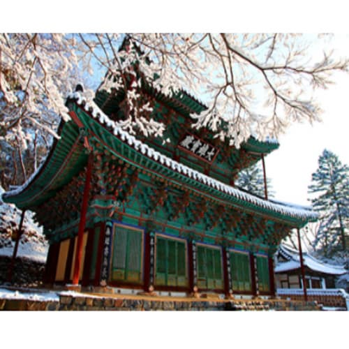 유네스코 마곡사: 눈꽃 핀 천년고찰 겨울 설경 명소 베스트 3
