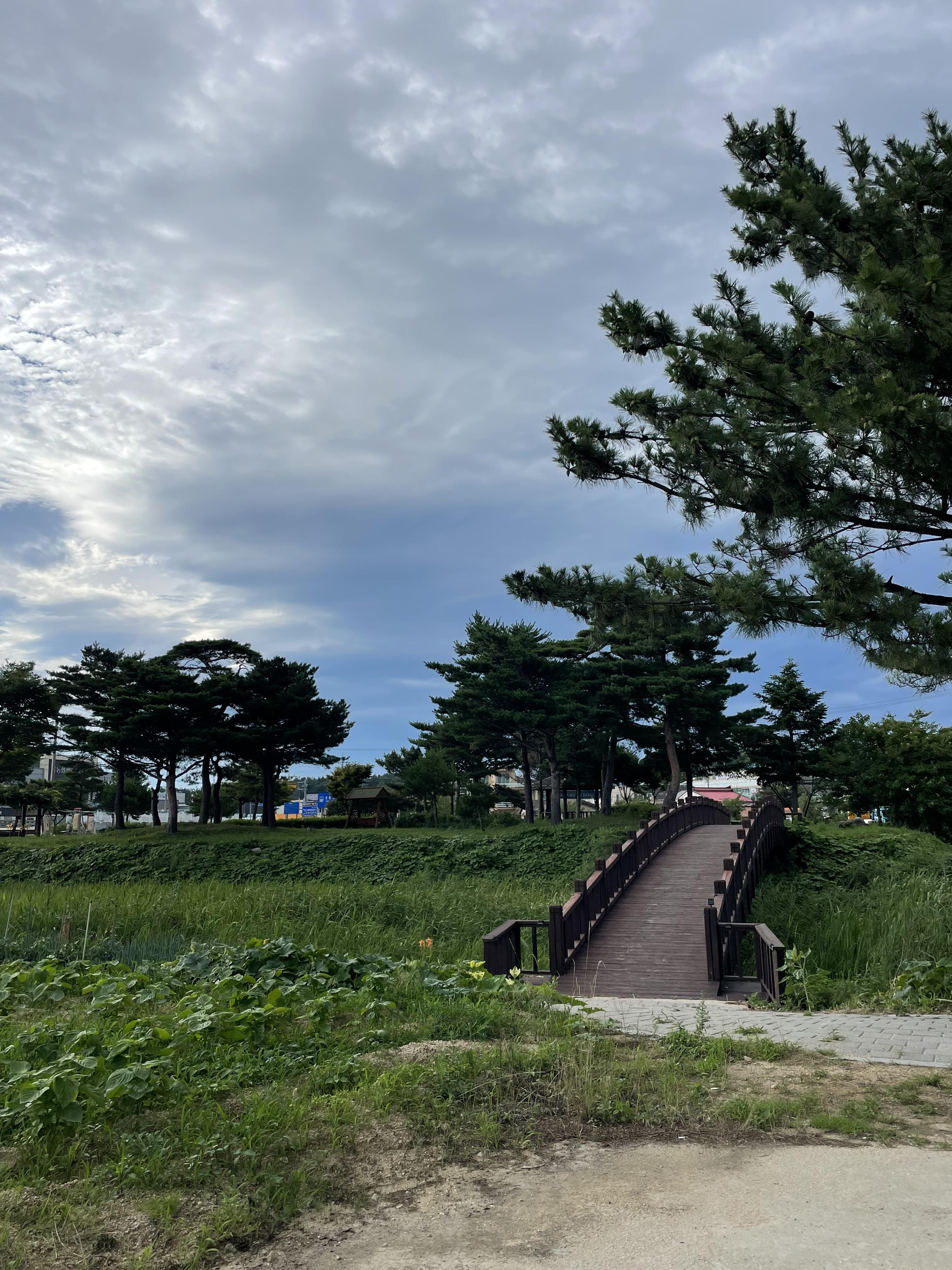 강원도-고성-봉수대해수욕장-원더비치-도보-5분거리-식당-추천|고성-메밀이야