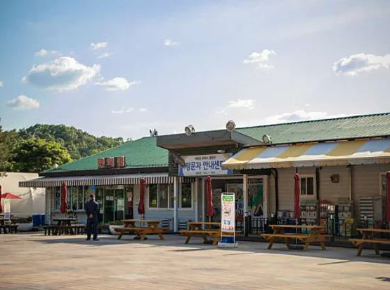 여행문화학교산책