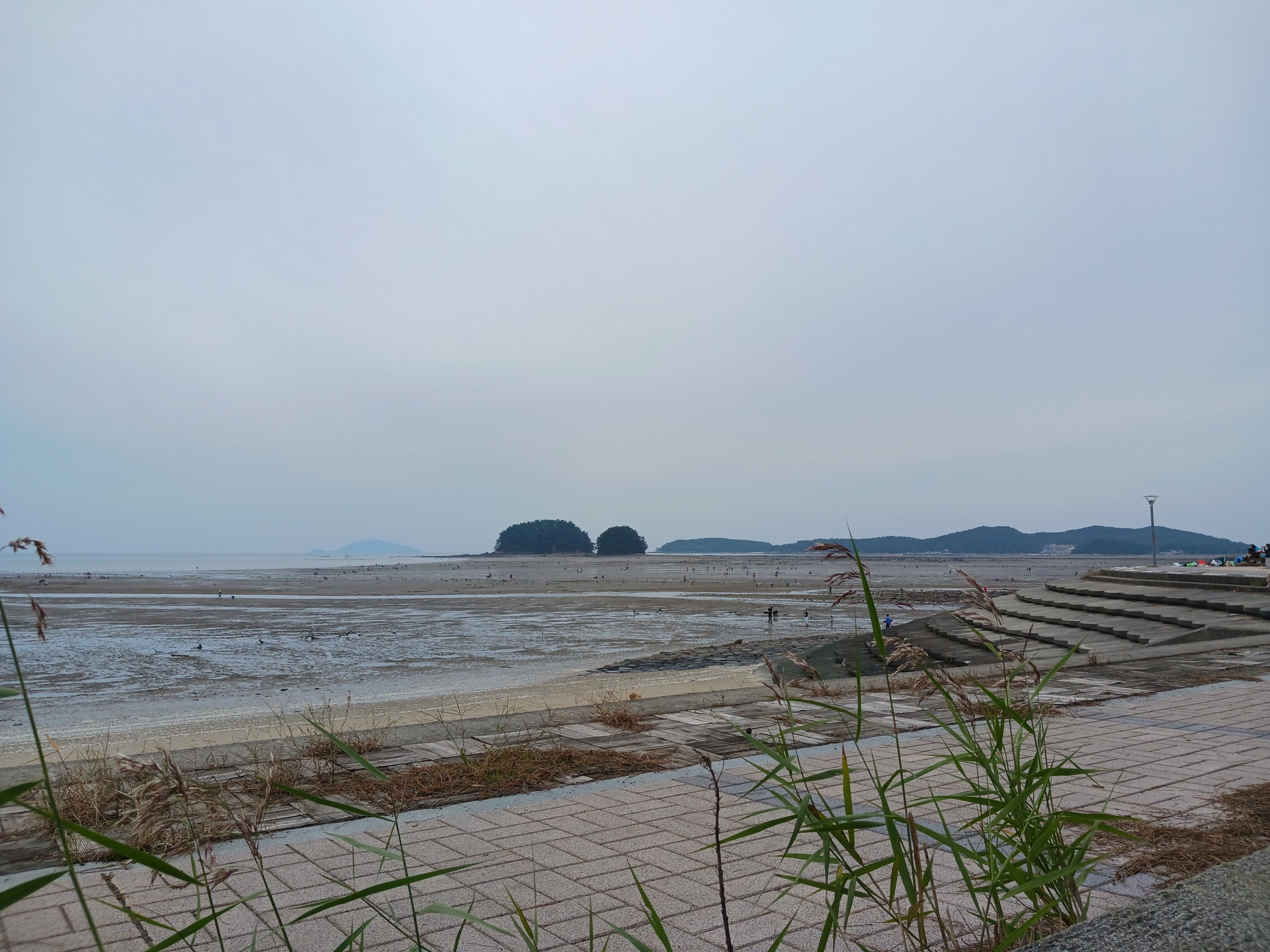 서천갯벌