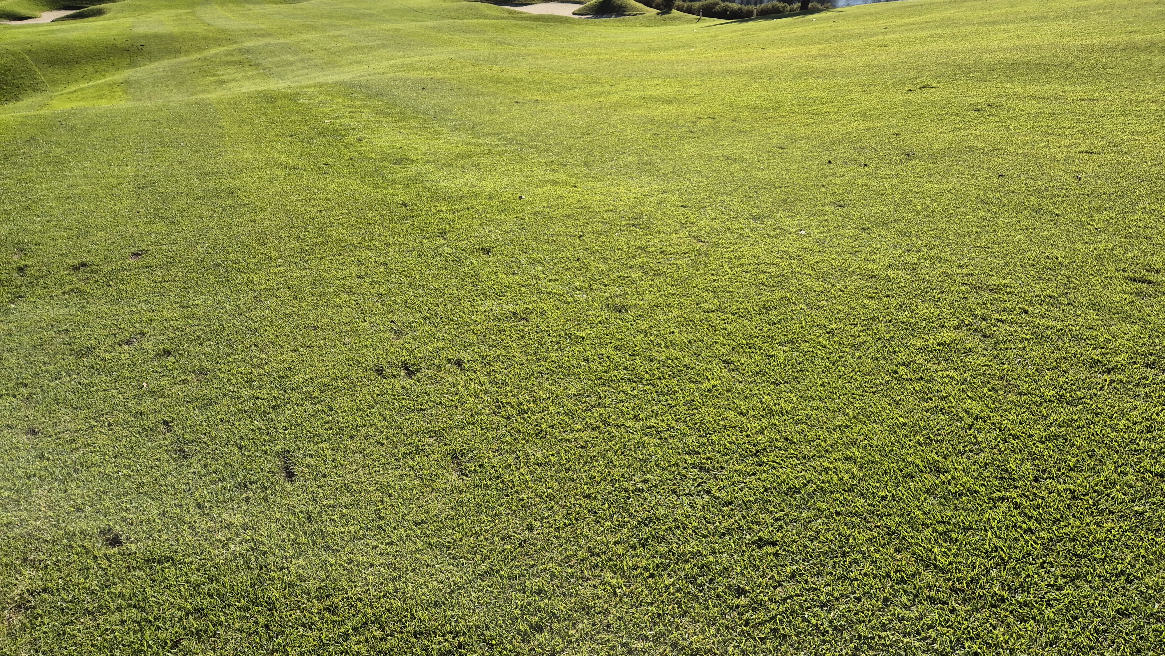 떼제베cc 동-북 코스 난이도