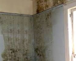 베란다 결로와 온도·습도 48시간 실측 분석 기록