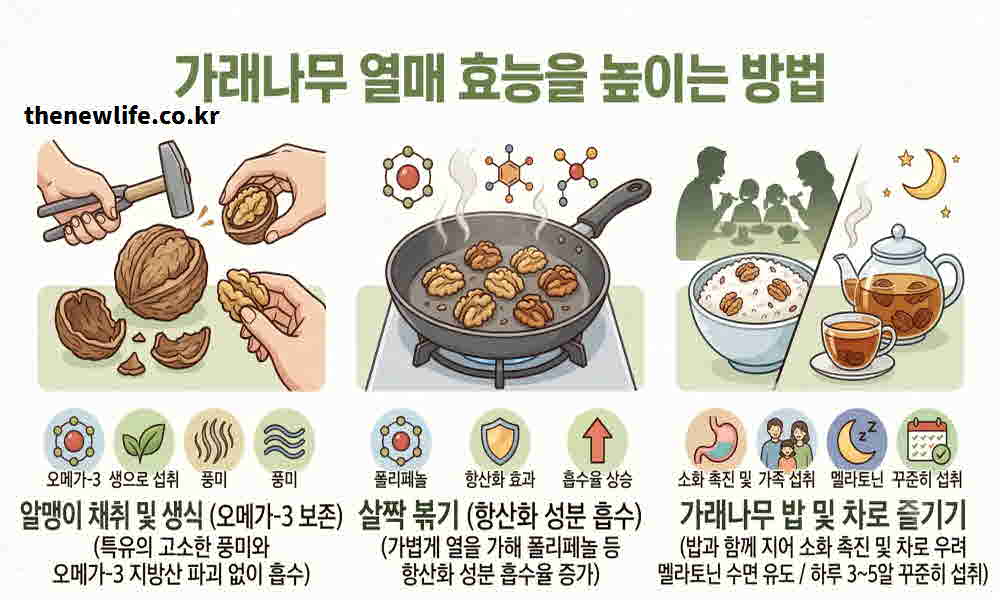 가래나무 열매 효능 높이는 먹는 법