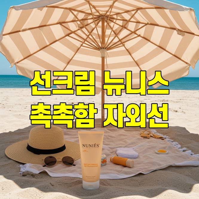 선크림 뉴니스 특징 총정리 촉촉함과 자외선 차단력 좋아