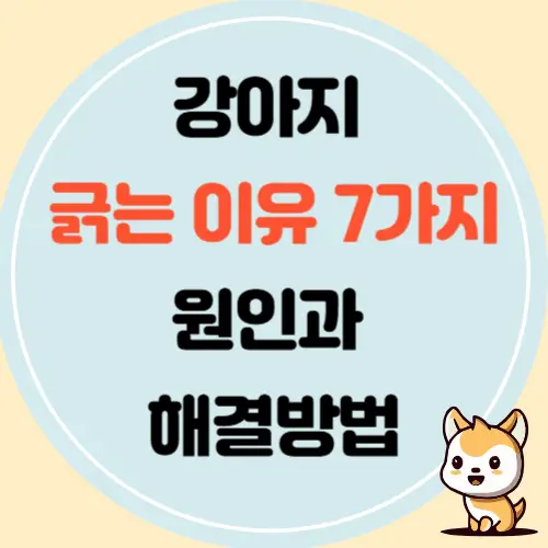 강아지가 자꾸 긁는 이유 7가지와 해결 방법