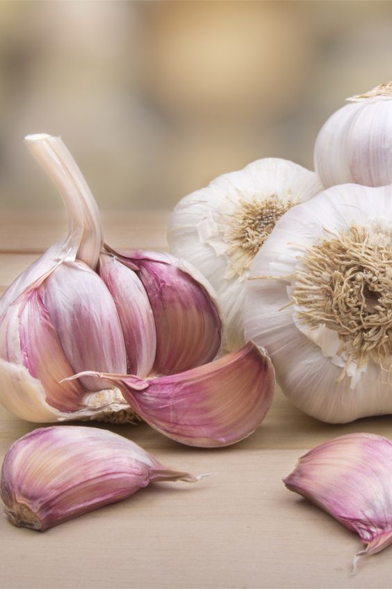 면역력에 좋은 음식 10가지 면역력 높이는 영양제 섭취하기