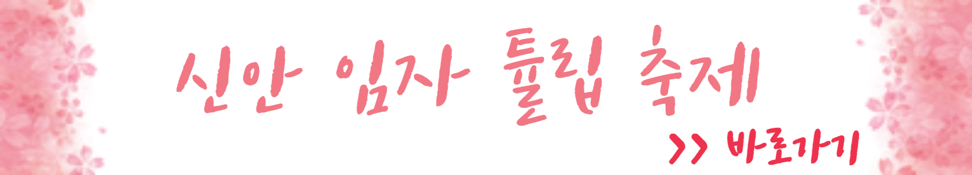 신안 임자 튤립 축제