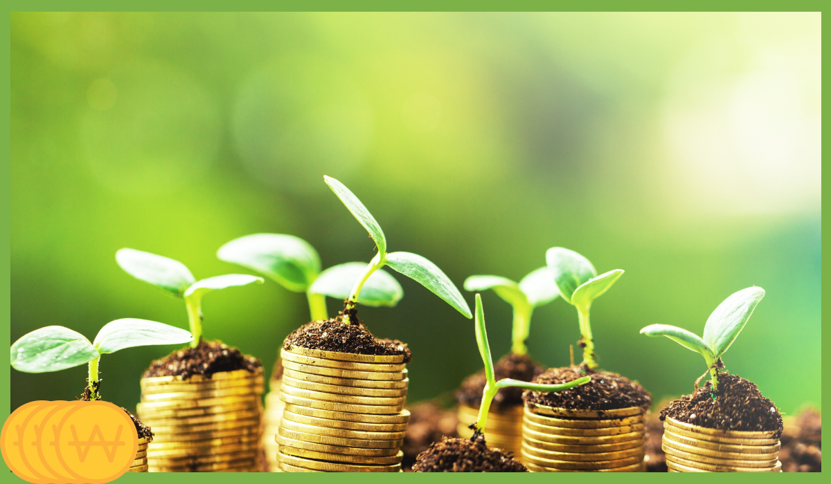 이재명 25만원 지급일