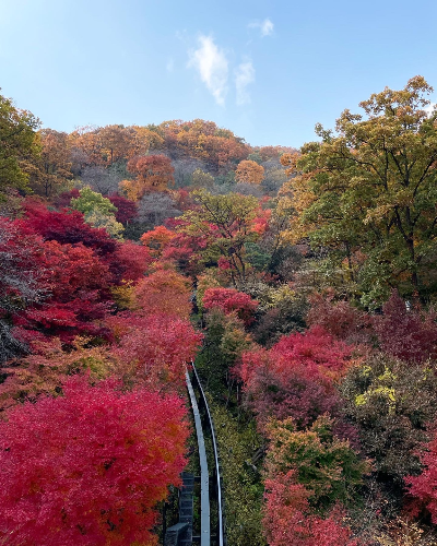 2023 화담숲 사진2